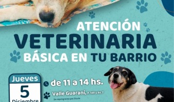 ZOONOSIS LLEVAR ADELANTE UNA JORNADA DE ATENCIN CLNICA Y VACUNACIN EN VALLE GUARAN